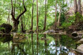 ecoturismo mexico