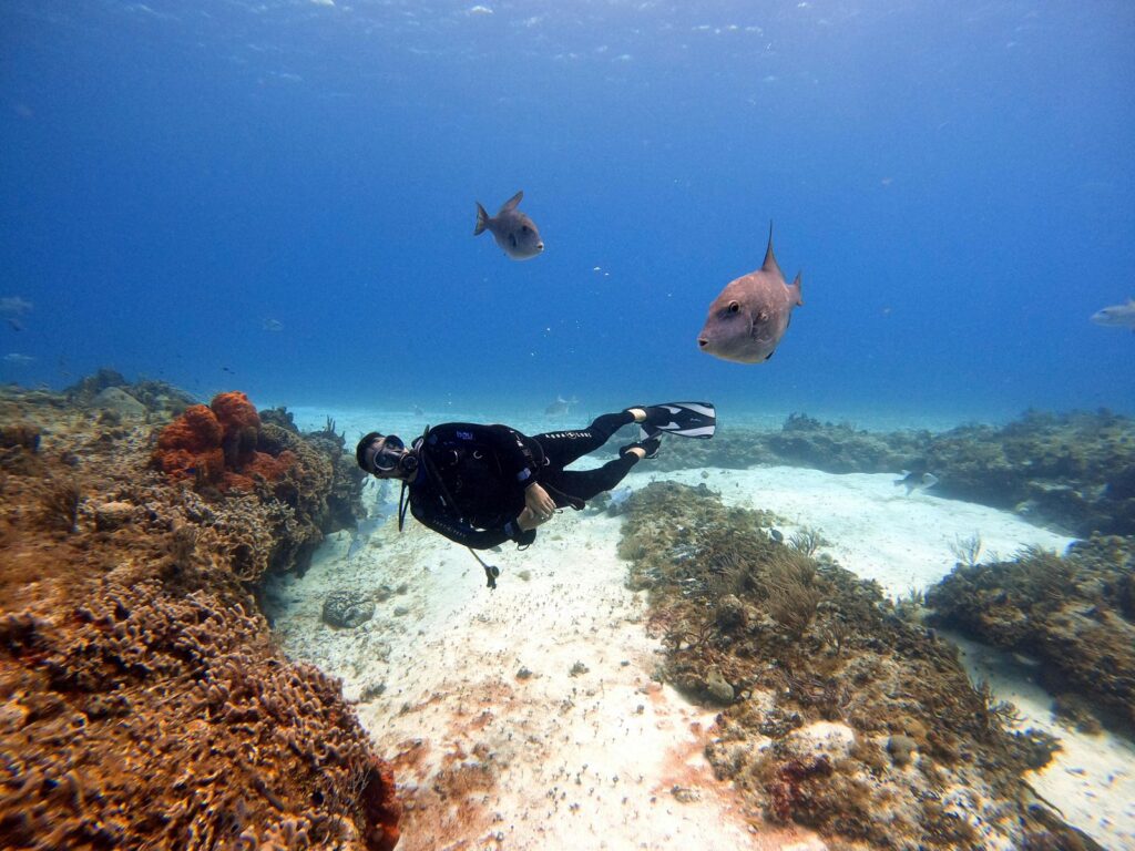 🌊 10 razones por las que Cozumel es uno de los mejores lugares para bucear en México (y el mundo)