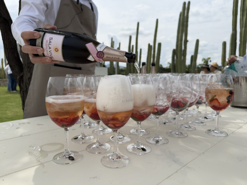 Fiesta de la Vendimia 2026 en Querétaro: ¡Todo un éxito!