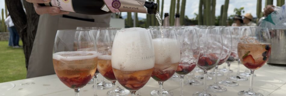¡Un éxito rotundo! Descubre cómo se vivió la Fiesta de la Vendimia 2026 en Sala Vivé Querétaro con pisado de uva, gran vino y música en vivo.